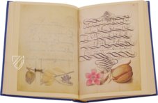 Model Book of Calligraphy – Faksimile Verlag – Ms. 20 (86. MV. 527) – Getty Museum (Los Angeles, USA)