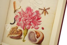 Model Book of Calligraphy β Faksimile Verlag β Ms. 20 (86. MV. 527) β J. Paul Getty Museum (Los Angeles, USA) Model Book of Calligraphy β Faksimile Verlag β Ms. 20 (86. MV. 527) β J. Paul Getty Museum (Los Angeles, USA)