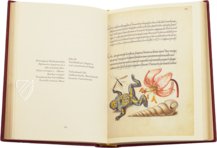 Model Book of Calligraphy β Faksimile Verlag β Ms. 20 (86. MV. 527) β J. Paul Getty Museum (Los Angeles, USA) Model Book of Calligraphy β Faksimile Verlag β Ms. 20 (86. MV. 527) β J. Paul Getty Museum (Los Angeles, USA)