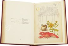 Model Book of Calligraphy β Faksimile Verlag β Ms. 20 (86. MV. 527) β J. Paul Getty Museum (Los Angeles, USA) Model Book of Calligraphy β Faksimile Verlag β Ms. 20 (86. MV. 527) β J. Paul Getty Museum (Los Angeles, USA)