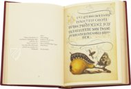 Model Book of Calligraphy β Faksimile Verlag β Ms. 20 (86. MV. 527) β J. Paul Getty Museum (Los Angeles, USA) Model Book of Calligraphy β Faksimile Verlag β Ms. 20 (86. MV. 527) β J. Paul Getty Museum (Los Angeles, USA)