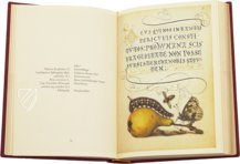 Model Book of Calligraphy β Faksimile Verlag β Ms. 20 (86. MV. 527) β J. Paul Getty Museum (Los Angeles, USA) Model Book of Calligraphy β Faksimile Verlag β Ms. 20 (86. MV. 527) β J. Paul Getty Museum (Los Angeles, USA)