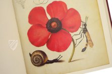 Model Book of Calligraphy β Faksimile Verlag β Ms. 20 (86. MV. 527) β J. Paul Getty Museum (Los Angeles, USA) Model Book of Calligraphy β Faksimile Verlag β Ms. 20 (86. MV. 527) β J. Paul Getty Museum (Los Angeles, USA)