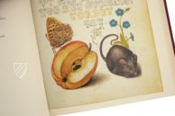 Model Book of Calligraphy β Faksimile Verlag β Ms. 20 (86. MV. 527) β J. Paul Getty Museum (Los Angeles, USA) Model Book of Calligraphy β Faksimile Verlag β Ms. 20 (86. MV. 527) β J. Paul Getty Museum (Los Angeles, USA)