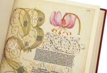 Model Book of Calligraphy β Faksimile Verlag β Ms. 20 (86. MV. 527) β J. Paul Getty Museum (Los Angeles, USA) Model Book of Calligraphy β Faksimile Verlag β Ms. 20 (86. MV. 527) β J. Paul Getty Museum (Los Angeles, USA)