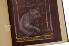 Model Book of Calligraphy β Faksimile Verlag β Ms. 20 (86. MV. 527) β J. Paul Getty Museum (Los Angeles, USA) Model Book of Calligraphy β Faksimile Verlag β Ms. 20 (86. MV. 527) β J. Paul Getty Museum (Los Angeles, USA)