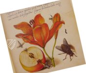 Model Book of Calligraphy β Faksimile Verlag β Ms. 20 (86. MV. 527) β J. Paul Getty Museum (Los Angeles, USA) Model Book of Calligraphy β Faksimile Verlag β Ms. 20 (86. MV. 527) β J. Paul Getty Museum (Los Angeles, USA)