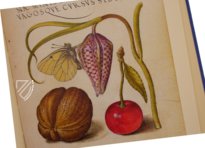 Model Book of Calligraphy β Faksimile Verlag β Ms. 20 (86. MV. 527) β J. Paul Getty Museum (Los Angeles, USA) Model Book of Calligraphy β Faksimile Verlag β Ms. 20 (86. MV. 527) β J. Paul Getty Museum (Los Angeles, USA)