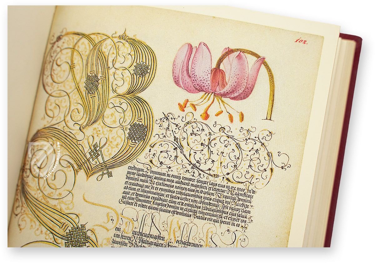 Model Book of Calligraphy