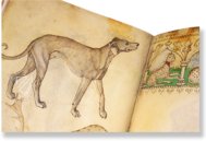 Model Book of Giovannino de Grassi – Faksimile Verlag – ms. VII. 14 – Biblioteca Civica "Angelo Mai" (Bergamo, Italy)