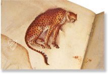 Model Book of Giovannino de Grassi β Il Bulino, edizioni d'arte β ms. VII. 14 β Biblioteca Civica Angelo Mai (Bergamo, Italy) Model Book of Giovannino de Grassi β Il Bulino, edizioni d'arte β ms. VII. 14 β Biblioteca Civica Angelo Mai (Bergamo, Italy)