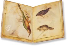 Model Book of Giovannino de Grassi β Il Bulino, edizioni d'arte β ms. VII. 14 β Biblioteca Civica Angelo Mai (Bergamo, Italy) Model Book of Giovannino de Grassi β Il Bulino, edizioni d'arte β ms. VII. 14 β Biblioteca Civica Angelo Mai (Bergamo, Italy)