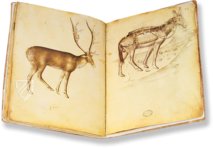 Model Book of Giovannino de Grassi β Il Bulino, edizioni d'arte β ms. VII. 14 β Biblioteca Civica Angelo Mai (Bergamo, Italy) Model Book of Giovannino de Grassi β Il Bulino, edizioni d'arte β ms. VII. 14 β Biblioteca Civica Angelo Mai (Bergamo, Italy)