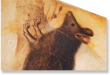 Model Book of Giovannino de Grassi β Il Bulino, edizioni d'arte β ms. VII. 14 β Biblioteca Civica Angelo Mai (Bergamo, Italy) Model Book of Giovannino de Grassi β Il Bulino, edizioni d'arte β ms. VII. 14 β Biblioteca Civica Angelo Mai (Bergamo, Italy)