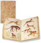 Model Book of Giovannino de Grassi β Il Bulino, edizioni d'arte β ms. VII. 14 β Biblioteca Civica Angelo Mai (Bergamo, Italy) Model Book of Giovannino de Grassi β Il Bulino, edizioni d'arte β ms. VII. 14 β Biblioteca Civica Angelo Mai (Bergamo, Italy)