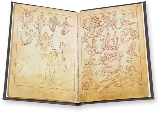 Model Book of Rein – Akademische Druck- u. Verlagsanstalt (ADEVA) – Cod. Vindob. 507 – Österreichische Nationalbibliothek (Vienna, Austria)