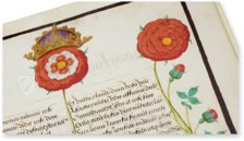 Music for King Henry VIII - Royal Choirbook – The Folio Society – Royal MS 11 E XI – British Library (London, United Kingdom)