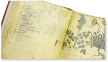 Naples Dioscorides – Akademische Druck- u. Verlagsanstalt (ADEVA) – Ms. ex Vindob. gr. 1 – Biblioteca Nazionale "Vittorio Emanuele III" (Naples, Italy)