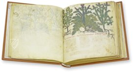 Naples Dioscorides – Salerno Editrice – Ms. ex Vindob. gr. 1 – Biblioteca Nazionale "Vittorio Emanuele III" (Naples, Italy)