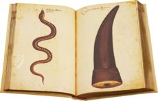 Natural History Atlas of Philip II - Pomar Codex – Ms. 9 – Biblioteca General e Histórica de la Universidad (Valencia, Spain) Facsimile Edition
