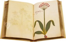 Natural History Atlas of Philip II - Pomar Codex – Vicent Garcia Editores – Ms. 9 – Biblioteca General e Histórica de la Universidad (Valencia, Spain)