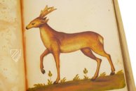 Natural History Atlas of Philip II - Pomar Codex – Vicent Garcia Editores – Ms. 9 – Biblioteca Històrica de la Universitat de València (Valencia, Spain)