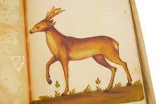 Natural History Atlas of Philip II - Pomar Codex – Vicent Garcia Editores – Ms. 9 – Biblioteca Històrica de la Universitat de València (Valencia, Spain)