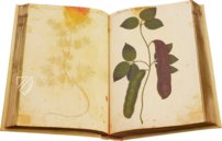 Natural History Atlas of Philip II - Pomar Codex – Vicent Garcia Editores – Ms. 9 – Biblioteca Històrica de la Universitat de València (Valencia, Spain)