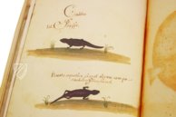 Natural History Atlas of Philip II - Pomar Codex – Vicent Garcia Editores – Ms. 9 – Biblioteca Històrica de la Universitat de València (Valencia, Spain)