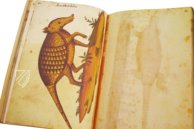 Natural History Atlas of Philip II - Pomar Codex – Vicent Garcia Editores – Ms. 9 – Biblioteca Històrica de la Universitat de València (Valencia, Spain)