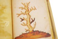 Natural History Atlas of Philip II - Pomar Codex – Vicent Garcia Editores – Ms. 9 – Biblioteca Històrica de la Universitat de València (Valencia, Spain)