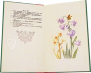 New Book of Flowers – Prestel Verlag – S.B.760 – Sächsische Landesbibliothek – Staats- und Universitätsbibliothek (Dresden, Germany)