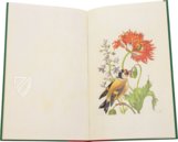 New Book of Flowers – Prestel Verlag – S.B.760 – Sächsische Landesbibliothek – Staats- und Universitätsbibliothek (Dresden, Germany)