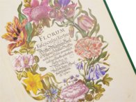 New Book of Flowers – Prestel Verlag – S.B.760 – Sächsische Landesbibliothek – Staats- und Universitätsbibliothek (Dresden, Germany)