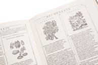 New Herbarium by Castore Durante – Biblioteca del Museo Regionale di Scienze Naturali di Torino (Turin, Italy) Facsimile Edition