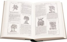 New Herbarium by Castore Durante – Priuli & Verlucca, editori – Biblioteca del Museo Regionale di Scienze Naturali di Torino (Turin, Italy)