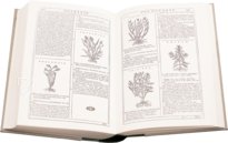 New Herbarium by Castore Durante – Priuli & Verlucca, editori – Biblioteca del Museo Regionale di Scienze Naturali di Torino (Turin, Italy)