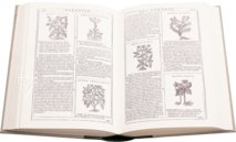 New Herbarium by Castore Durante – Priuli & Verlucca, editori – Biblioteca del Museo Regionale di Scienze Naturali di Torino (Turin, Italy)