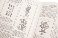 New Herbarium by Castore Durante – Priuli & Verlucca, editori – Biblioteca del Museo Regionale di Scienze Naturali di Torino (Turin, Italy)