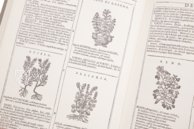 New Herbarium by Castore Durante – Priuli & Verlucca, editori – Biblioteca del Museo Regionale di Scienze Naturali di Torino (Turin, Italy)