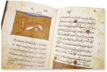 Of the Utility of Animals – Kaydeda Ediciones – ms. árabe 898 – Real Biblioteca del Monasterio (San Lorenzo de El Escorial, Spain)