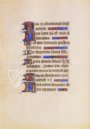 Officium Beatae Mariae Virginis Ross. 198 – Imago – Ross. 198 – Biblioteca Apostolica Vaticana (Vatican City, Vatican City State)