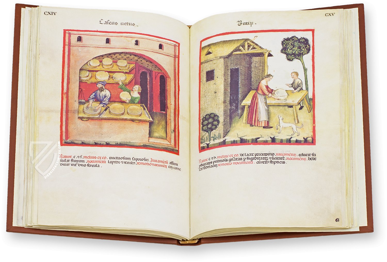 Old cheese (caseus vetus) and butter (butirum) in the Theatrum Sanitatis Old cheese (caseus vetus) and butter (butirum) in the Theatrum Sanitatis