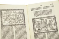 On Famous Women by Giovanni Boccaccio – Vicent Garcia Editores – I-1921 (ff. I-CII + ff. CIV-CV)|I-2444 (ff. CIII + CVI-CIX) – Biblioteca Nacional de España (Madrid, Spain)