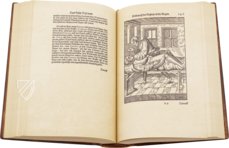 Ophthalmodouleia - Augendienst – Editions Medicina Rara – 38.1.1 Phys. 2° – Herzog August Bibliothek (Wolfenbüttel, Germany)