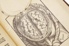 Ophthalmodouleia - Augendienst – Editions Medicina Rara – 38.1.1 Phys. 2° – Herzog August Bibliothek (Wolfenbüttel, Germany)