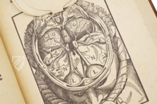 Ophthalmodouleia - Augendienst – Editions Medicina Rara – 38.1.1 Phys. 2° – Herzog August Bibliothek (Wolfenbüttel, Germany)
