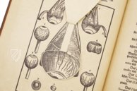 Ophthalmodouleia - Augendienst – Editions Medicina Rara – 38.1.1 Phys. 2° – Herzog August Bibliothek (Wolfenbüttel, Germany)