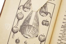 Ophthalmodouleia - Augendienst – Editions Medicina Rara – 38.1.1 Phys. 2° – Herzog August Bibliothek (Wolfenbüttel, Germany)