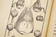 Ophthalmodouleia - Augendienst – Editions Medicina Rara – 38.1.1 Phys. 2° – Herzog August Bibliothek (Wolfenbüttel, Germany)